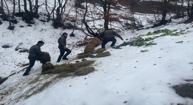 Toros Dağları Devlet Avlağına yem bırakıldı