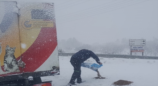 Gaziantep’te soğuktan etkilenen sokak hayvanlarına yem bırakıldı