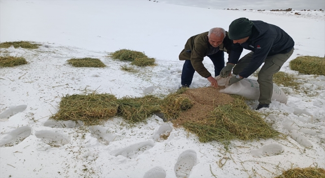 Karacadağ’da yaban hayvanları için doğaya yem bırakıldı