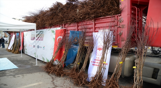 Diyarbakır’da bahar dönemi fidan dağıtım töreni yapıldı