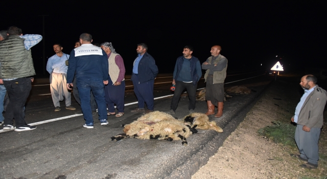 Şanlıurfa’da koyun sürüsüne çarpan otomobilin sürücüsü yaralandı