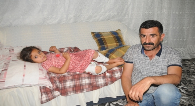 Şırnak’ta sahipsiz köpeğin saldırısına uğrayan kız çocuğu yaralandı