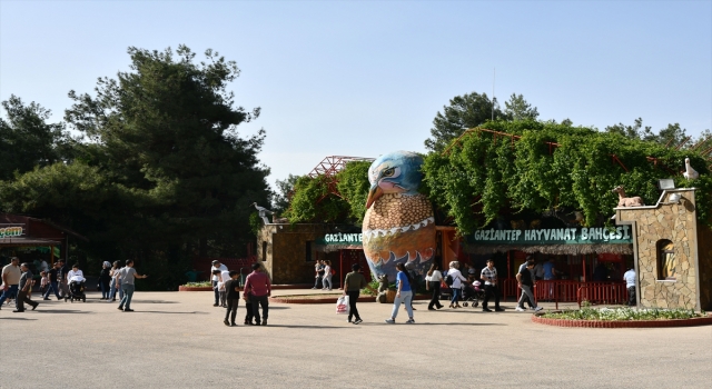 Gaziantep Hayvanat Bahçesinde hafta sonu yoğunluğu