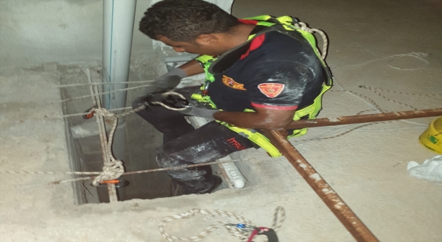 Kilis’te havalandırma boşluğuna düşen 2 kedi yavrusu kurtarıldı