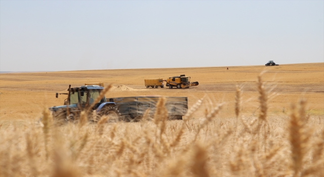 Diyarbakır ve Mardin’deki üreticiler hububat alım fiyatlarını değerlendirdi