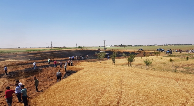 Şanlıurfa’da buğday tarlasındaki yangın zarara neden oldu
