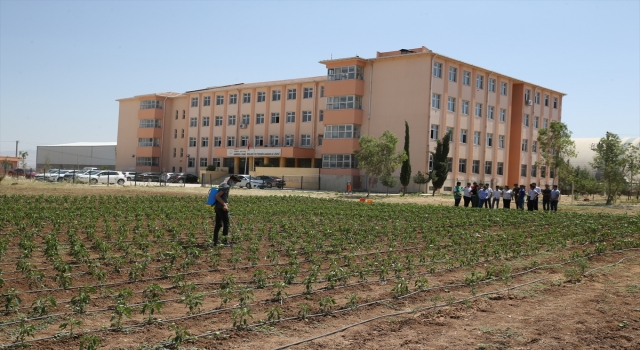 Öğrenciler toprağı verimli kullanmayı tarlada uygulamalı öğreniyor