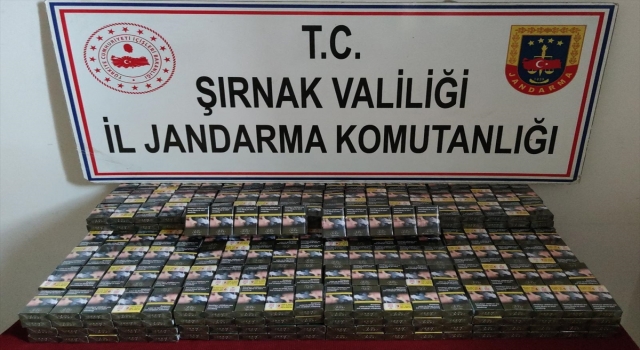 Şırnak’ta uyuşturucu ve kaçakçılık operasyonlarında 15 şüpheli yakalandı