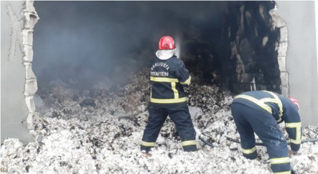 Urfa’da Tonlarca Pamuk Alevlere Teslim Oldu