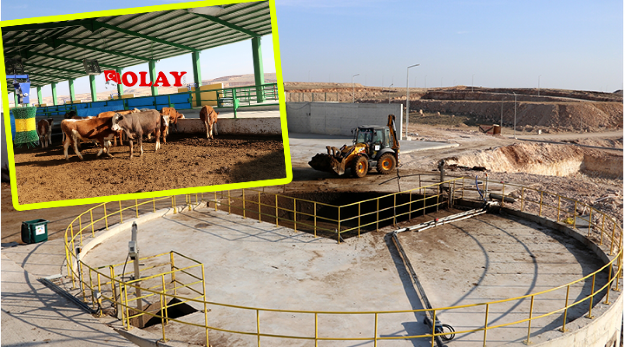 Hayvansal atıklar elektrik enerjisine ve organik gübreye dönüştürülüyor