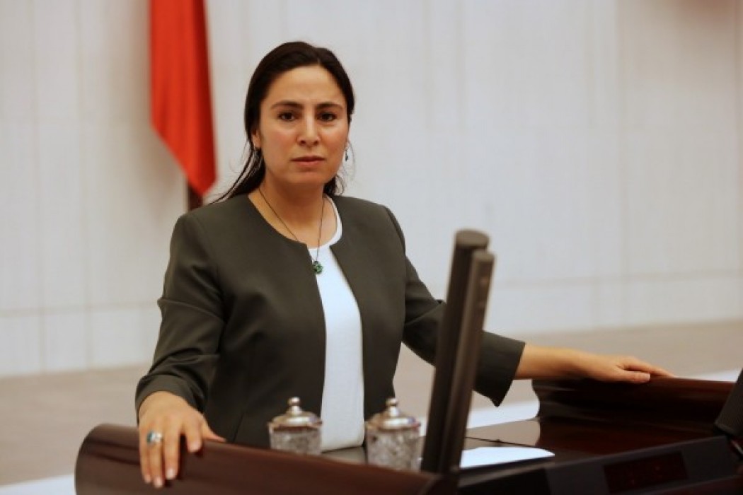Sürücü bu kez Bakan Dönmez’e sordu