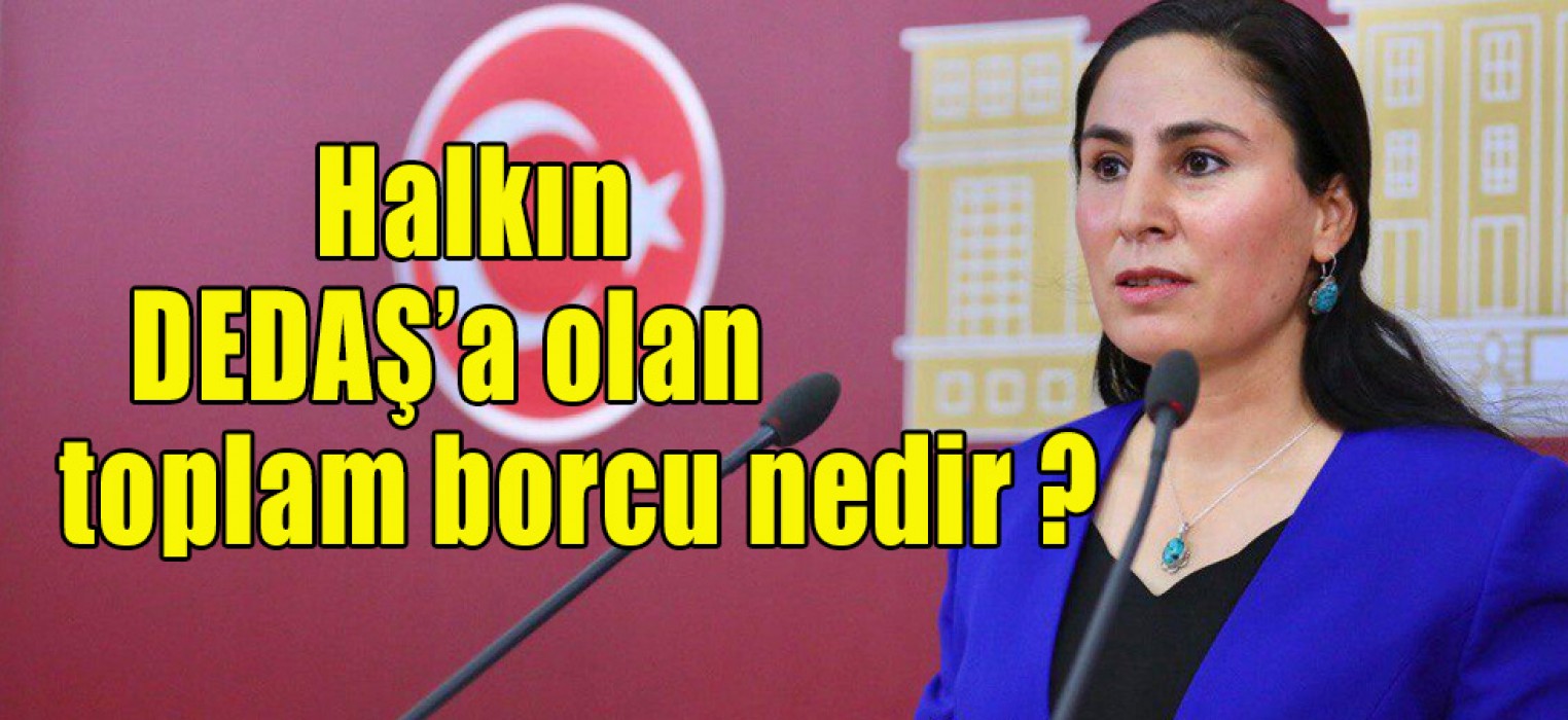 Ayşe Sürücü gündemdeki konuyu meclise taşıdı