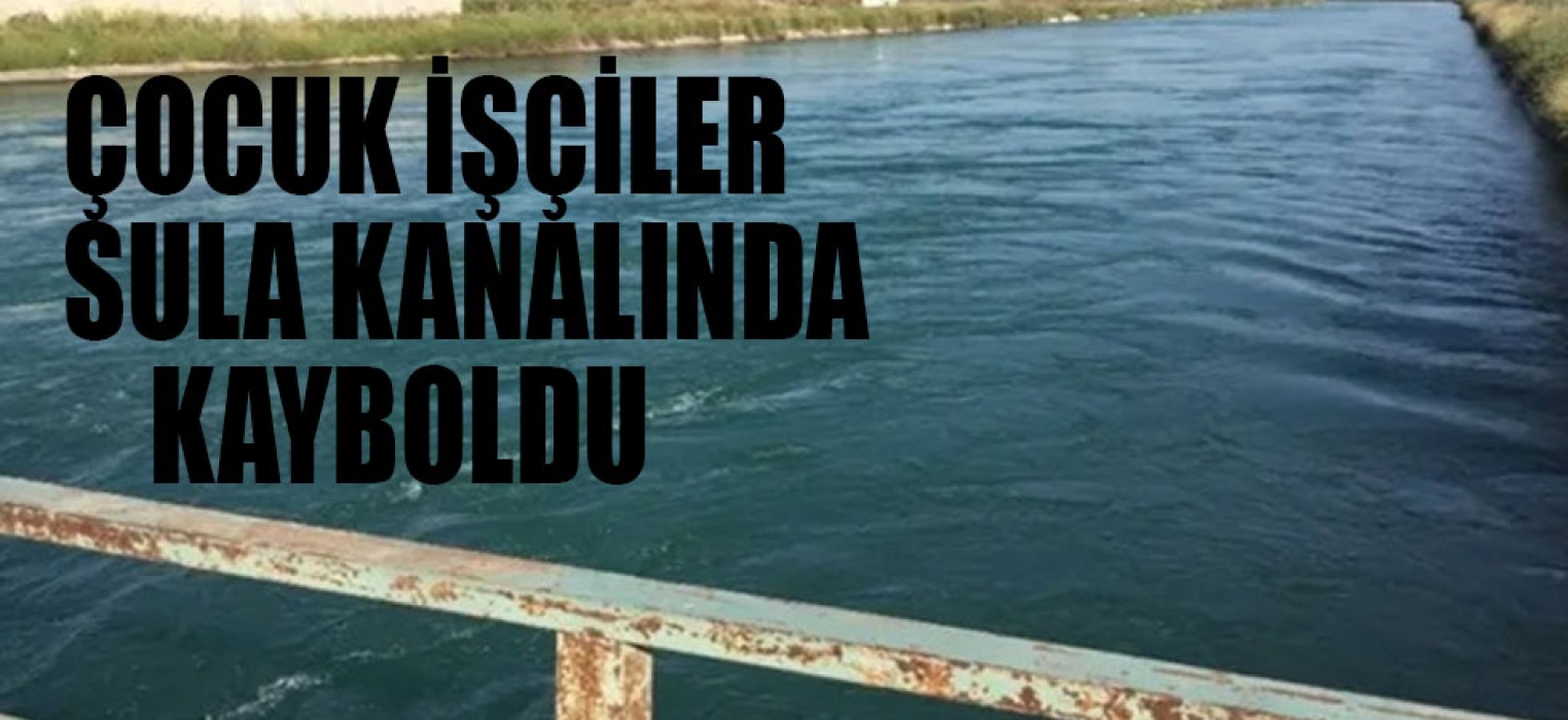 Tarım işçileri sulama kanalına düştü