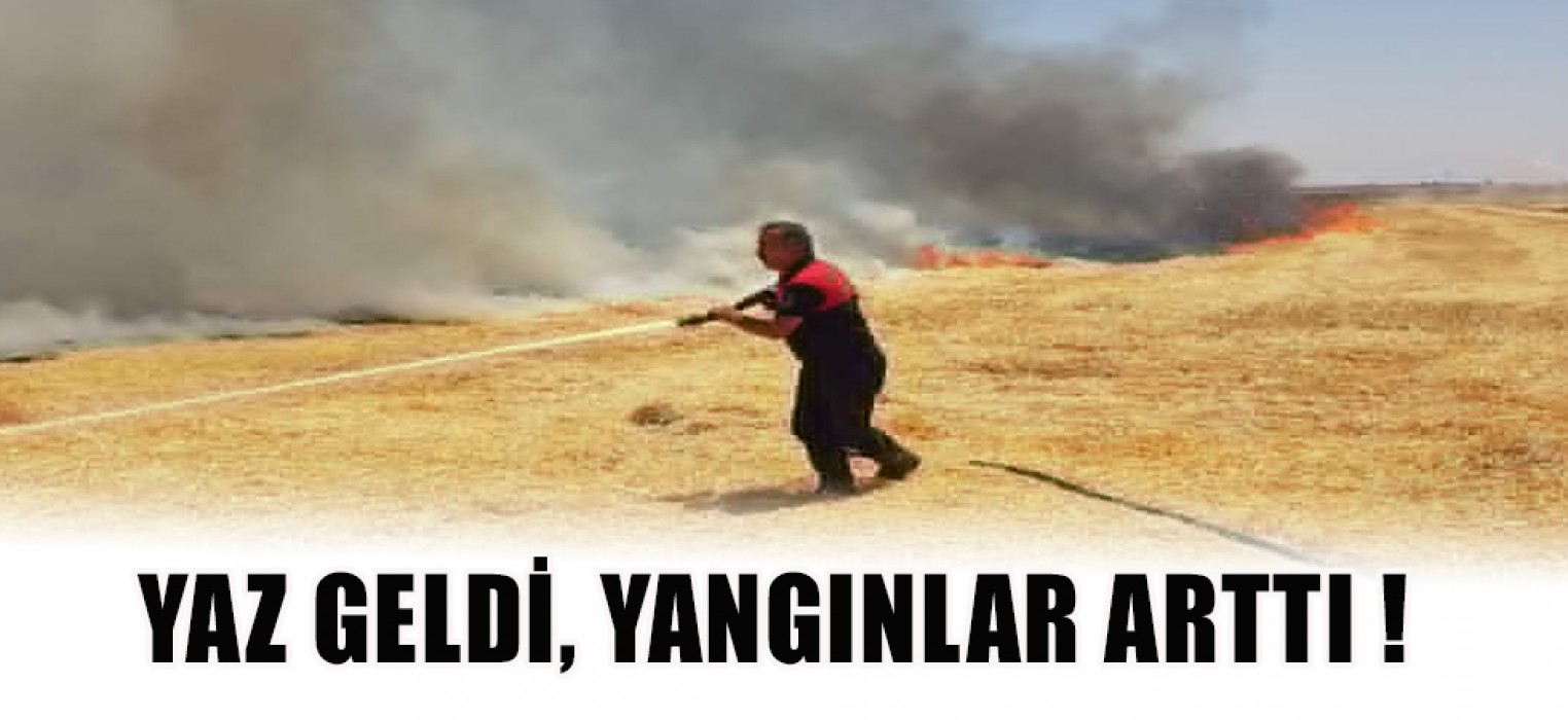 Ceylanpınar’da  yangın