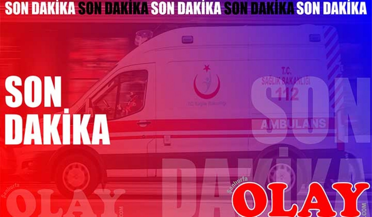 Urfa’da kaza otomobil ve TIR çarpıştı