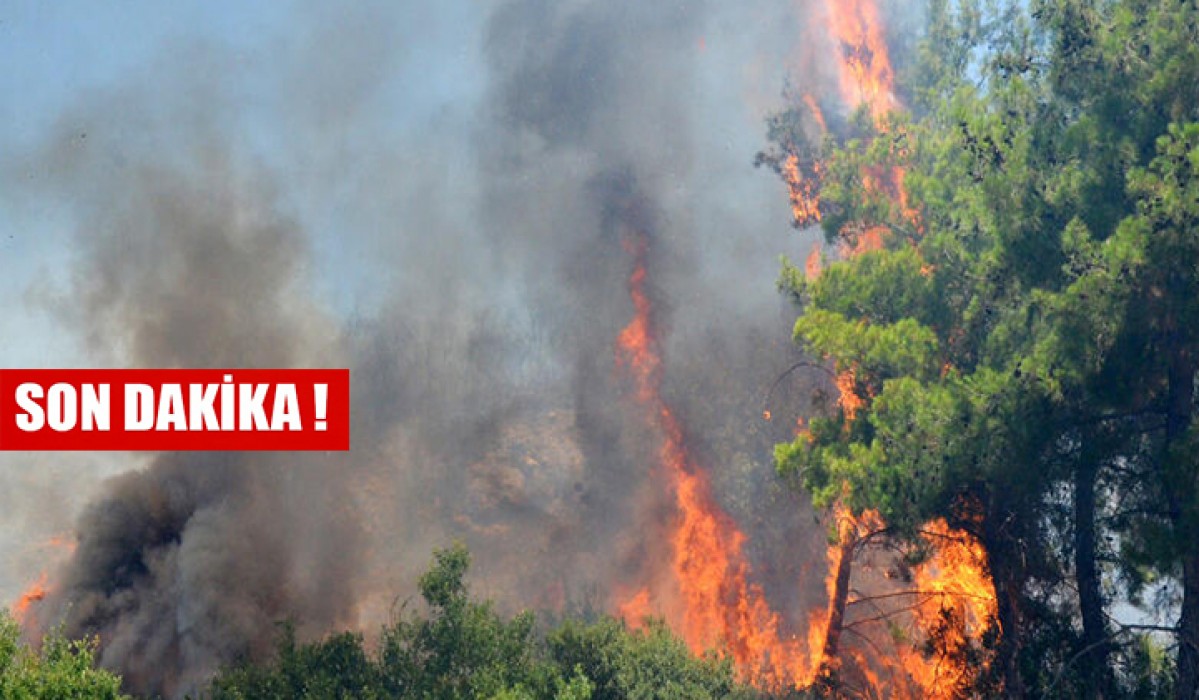 Manavgat’tan acı haber ! 2 işçi hayatını kaybetti