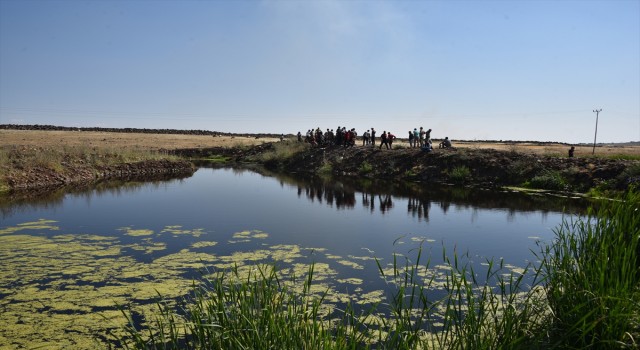 Şanlıurfa’da balık tutmak için gölete giren kişi boğuldu