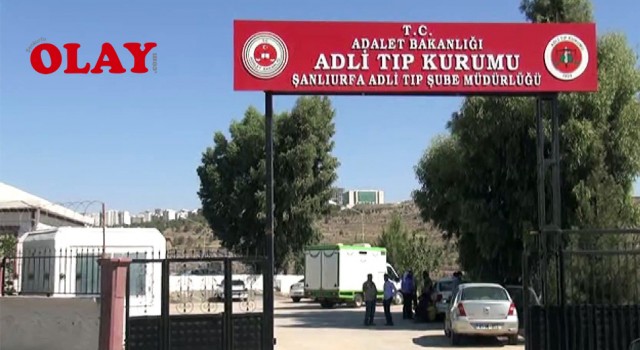 Şanlıurfa'da yol kenarında silahla vurulmuş 2 kişi bulundu