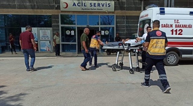 Urfa'da pamuk tarlasına devrilen otomobildeki 5 kişi yaralandı