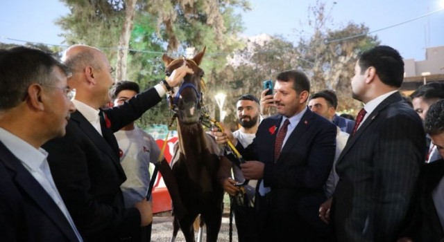 Bakan Soylu’ya yarış atı hediye edildi!