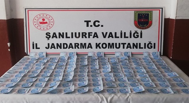 Şanlıurfa'da sahte para operasyonunda 2 şüpheli yakalandı