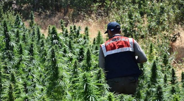 Şanlıurfa’da uyuşturucu operasyonu! 2 gözaltı
