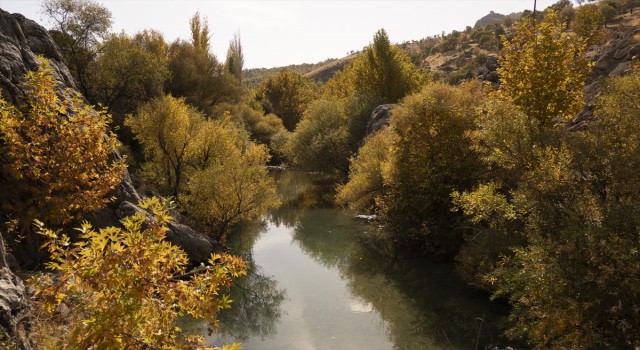 Şanlıurfalı amatör fotoğrafçılar sonbaharı fotoğrafladı
