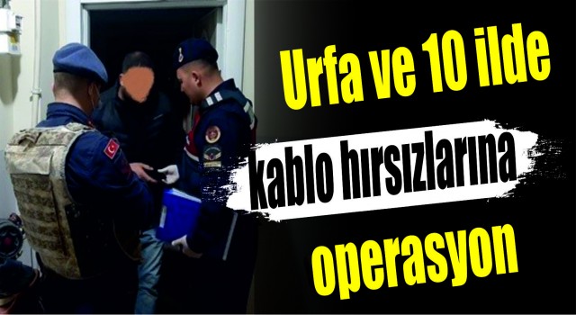 Urfa ve 10 ilde kablo hırsızlarına operasyon