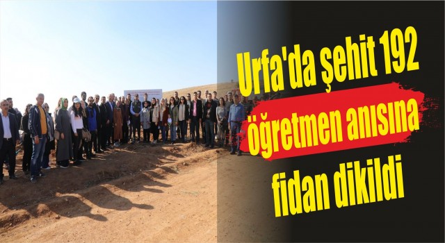 Urfa'da şehit 192 öğretmen anısına fidan dikildi