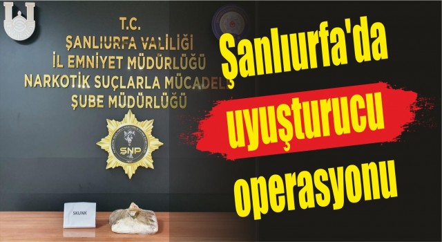 Urfa'da uyuşturucu operasyonu