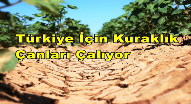 Türkiye Şanlıurfa İçin Kuraklık Çanları Çalıyor