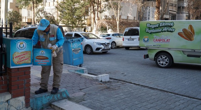 Urfa’da günlük 500 kilogram ekmek israfını önlüyor