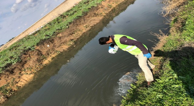 Akçakale’de larva ilaçlama çalışmaları başlatıldı