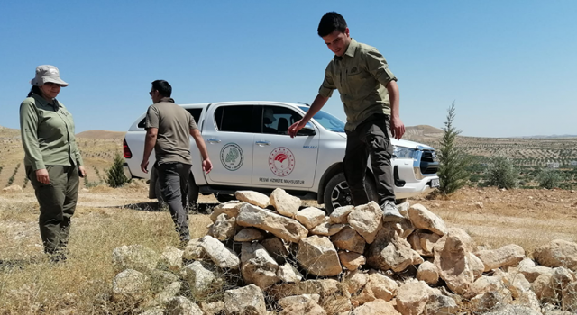 DKMP Ekipleri Urfa'da Kınalı Keklik Avına İzin Vermiyor