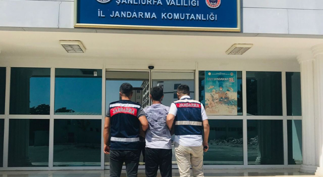 Kesinleşmiş Cezaları Olan 6 Şahıs Urfa'da Yalakandı