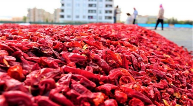 Urfa'nın İhracat ve İthalat Rakamları Belli Oldu