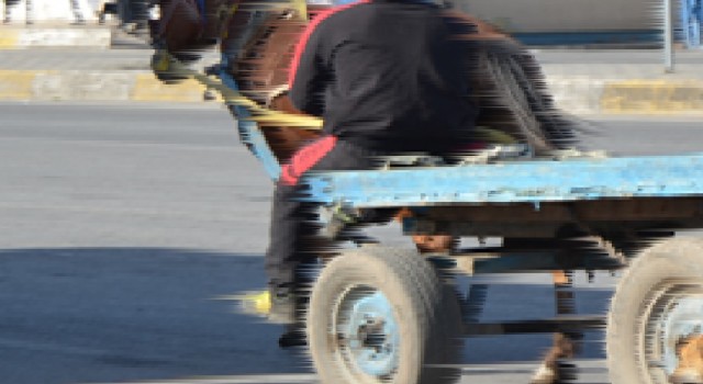 Şanlıurfa’da at arabası takla attı! Yaralılar var