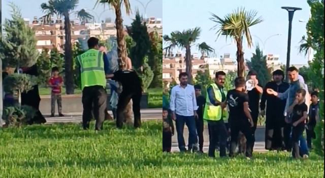 Eyyübiye’de bir çocuk ağacı ateşe verdi