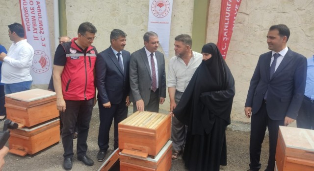 Arıcılığın gelişmesi için önemli adım: Şanlıurfa’da binlerce ücretsiz kovan dağıtıldı