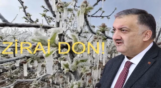 Hasan Karal: Don Felaketi Tarımda İhmalin Sonucu