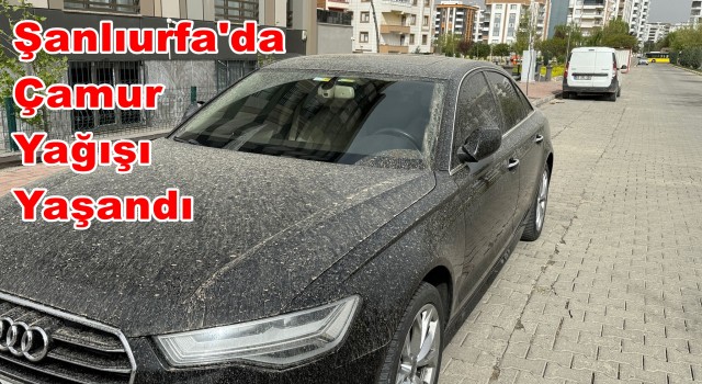 Şanlıurfa'da Toz Bulutu Etkili Oldu: Çamur Yağışı Yaşandı