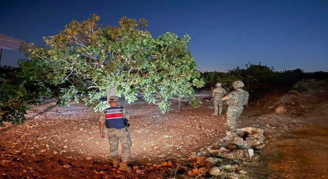 Şanlıurfa’da Fıstık Hırsızlarına Karşı Jandarma Nöbette