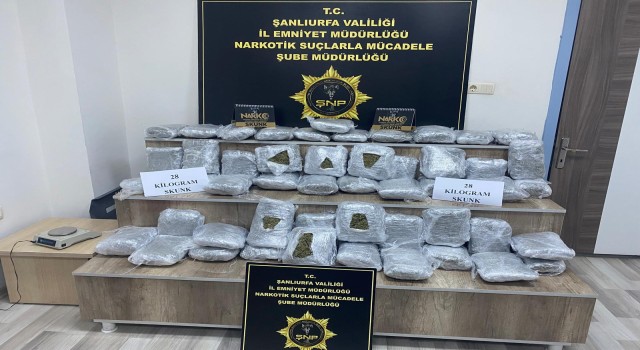 Siverek’te Uyuşturucu Operasyonu: 28 Kilo Skunk Ele Geçirildi