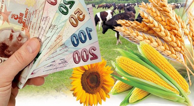 Çiftçilere 1,1 Milyar TL’yi Aşan Destek Ödemesi Yapıldı