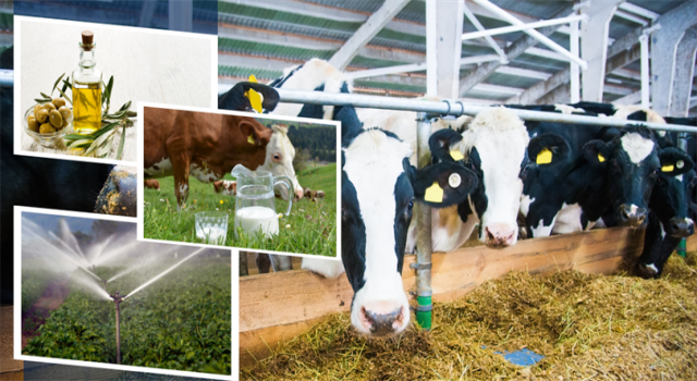 Çiftçilere 2 Milyar 5 Milyon Liralık Destekleme Ödemesi Yapılıyor