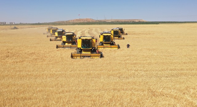 Dünyanın En Büyük Tarım İşletmesi Şanlıurfa’da Bulunuyor