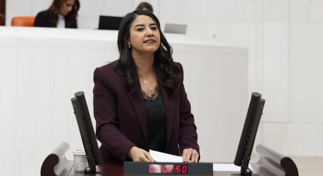 Şanlıurfa’daki Sağlık Sorunları Meclis Gündemine Taşındı