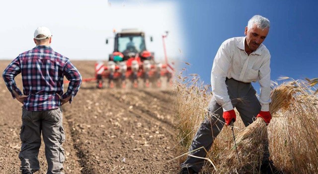 TMO 2024’te Rekor Zarara Ulaştı: Tarımsal Üretimde Düşüş, Çiftçi Borcu Artıyor