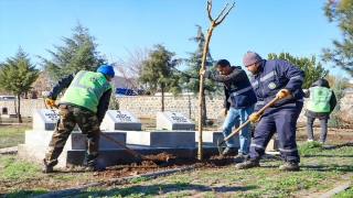 Diyarbakır’da Süryani Kadim Mezarlığı ağaçlandırıldı