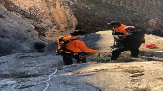 Siirt’te kayalıklarda mahsur kalan 16 keçi kurtarıldı